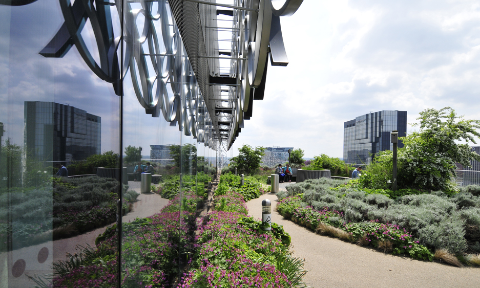 landscapes of the roof terraces